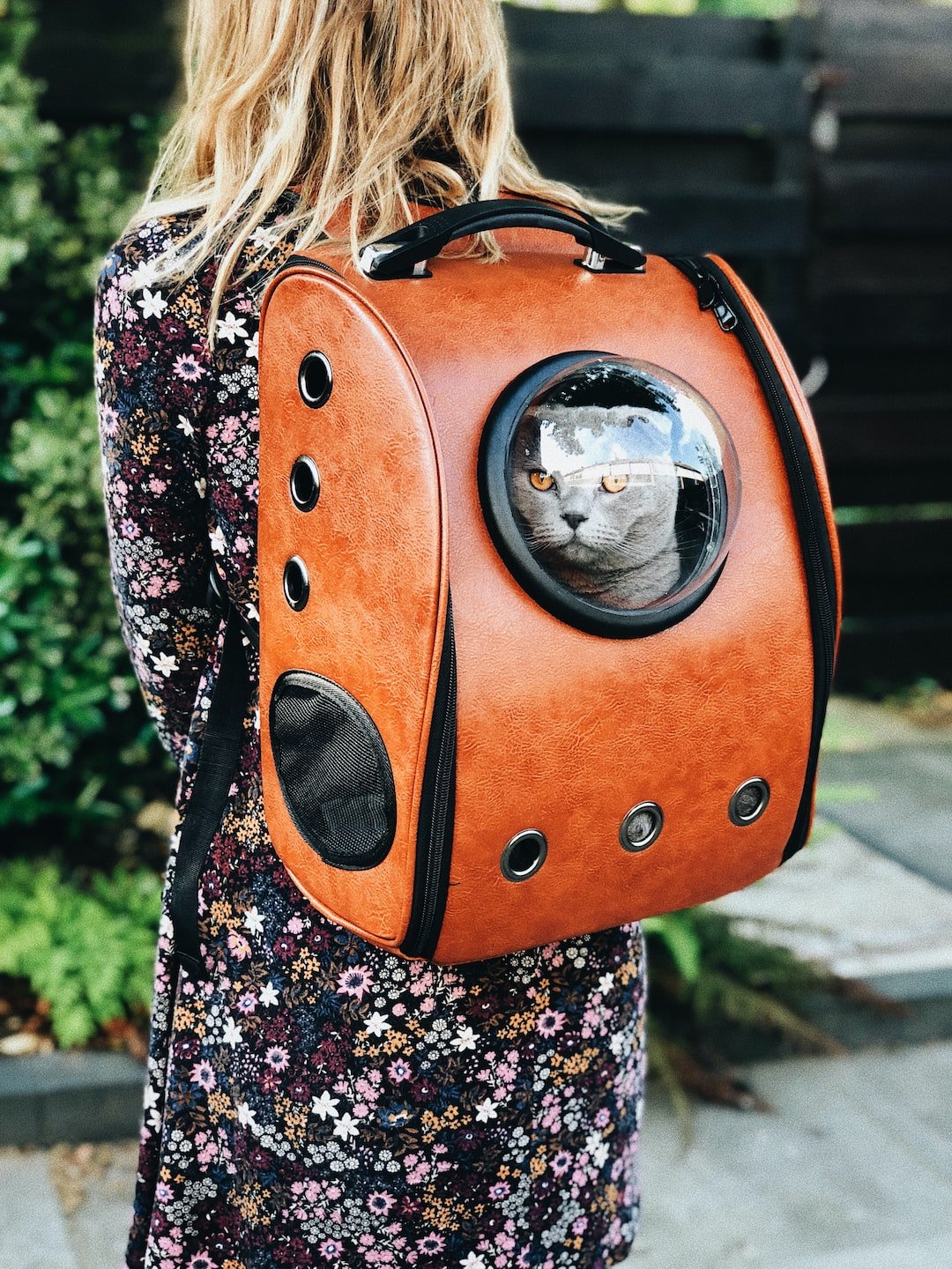 Tips for Traveling with Your Pet - PETGS