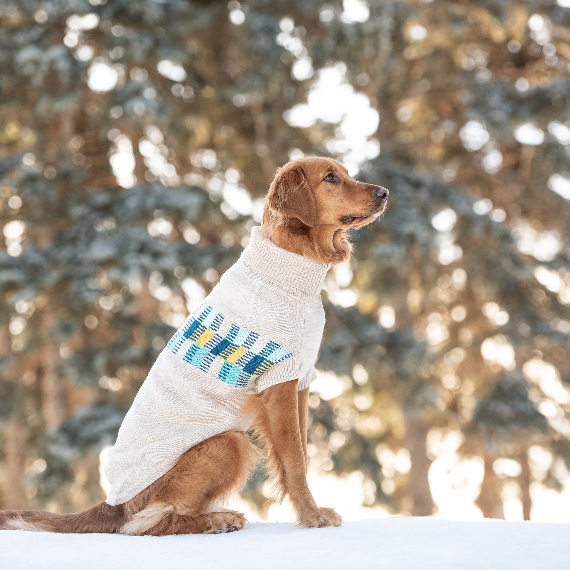 Winter Sailor Sweater - Oatmeal Mix - Premium Leashes, Collars & Petwear from Beige Antigone - Just $27.48! Shop now at PETGS