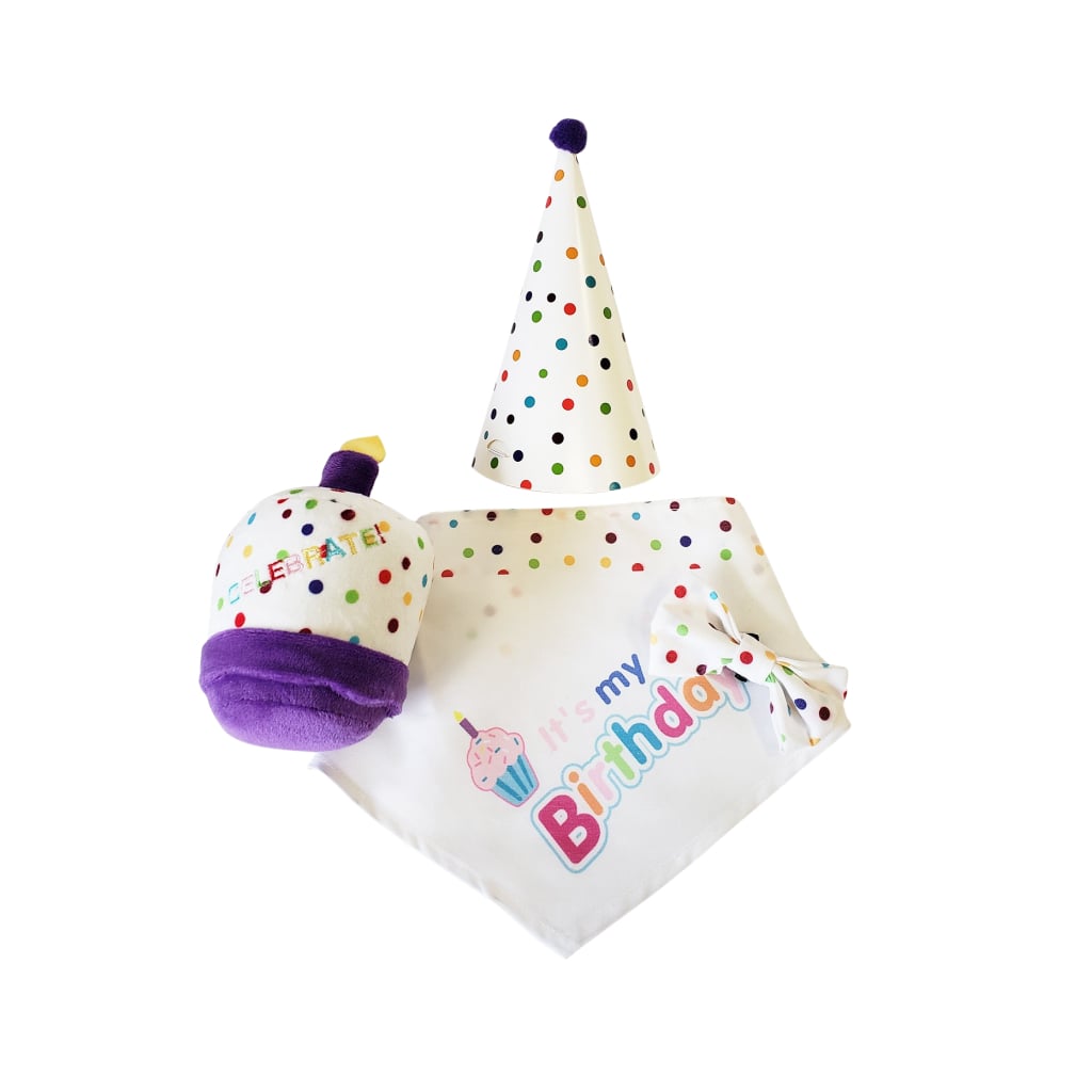 4-Piece Dog Birthday Kit - Premium  from PETGS - Just $22.79! Shop now at PETGS
