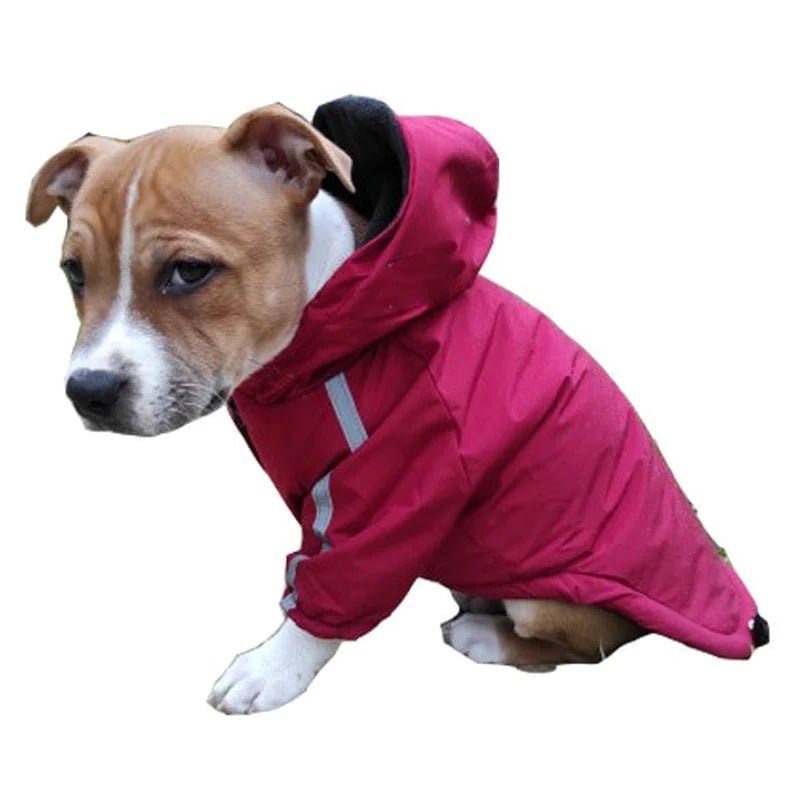 Autumn Winter Pet Dog Waterproof Warm Coat Cotton Hooded Jacket the Dog Face Small Dogs Cat Reflective Pet Clothes Winter Coat - PETGS