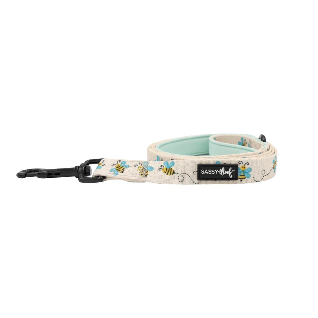 Bee Sassy' Dog Fabric Leash - Premium  from PETGS - Just $30.99! Shop now at PETGS