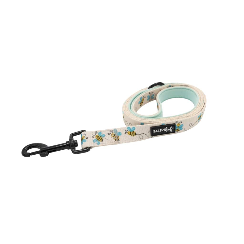 Bee Sassy' Dog Fabric Leash - Premium  from PETGS - Just $30.99! Shop now at PETGS