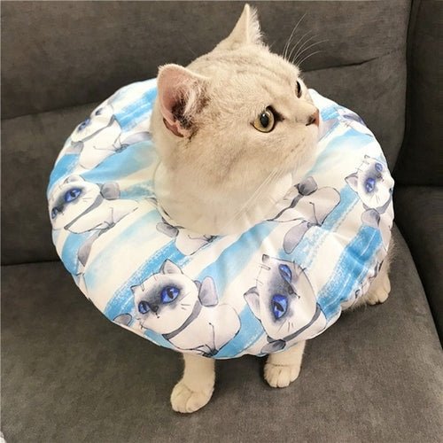 Cat Adjustable Recovery Cone - Premium Petcare from Lavender Nemesis - Just $6.73! Shop now at PETGS