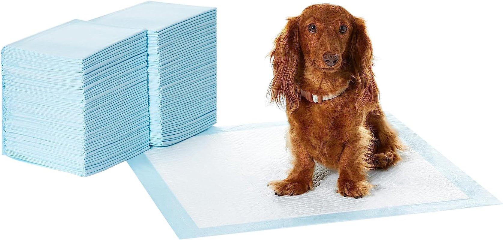 Dog and Puppy Pee Pads with Leak-Proof Quick-Dry Design for Potty Training, Standard Absorbency, Regular Size, 22 X 22 Inches, Pack of 100, Blue & White - PETGS