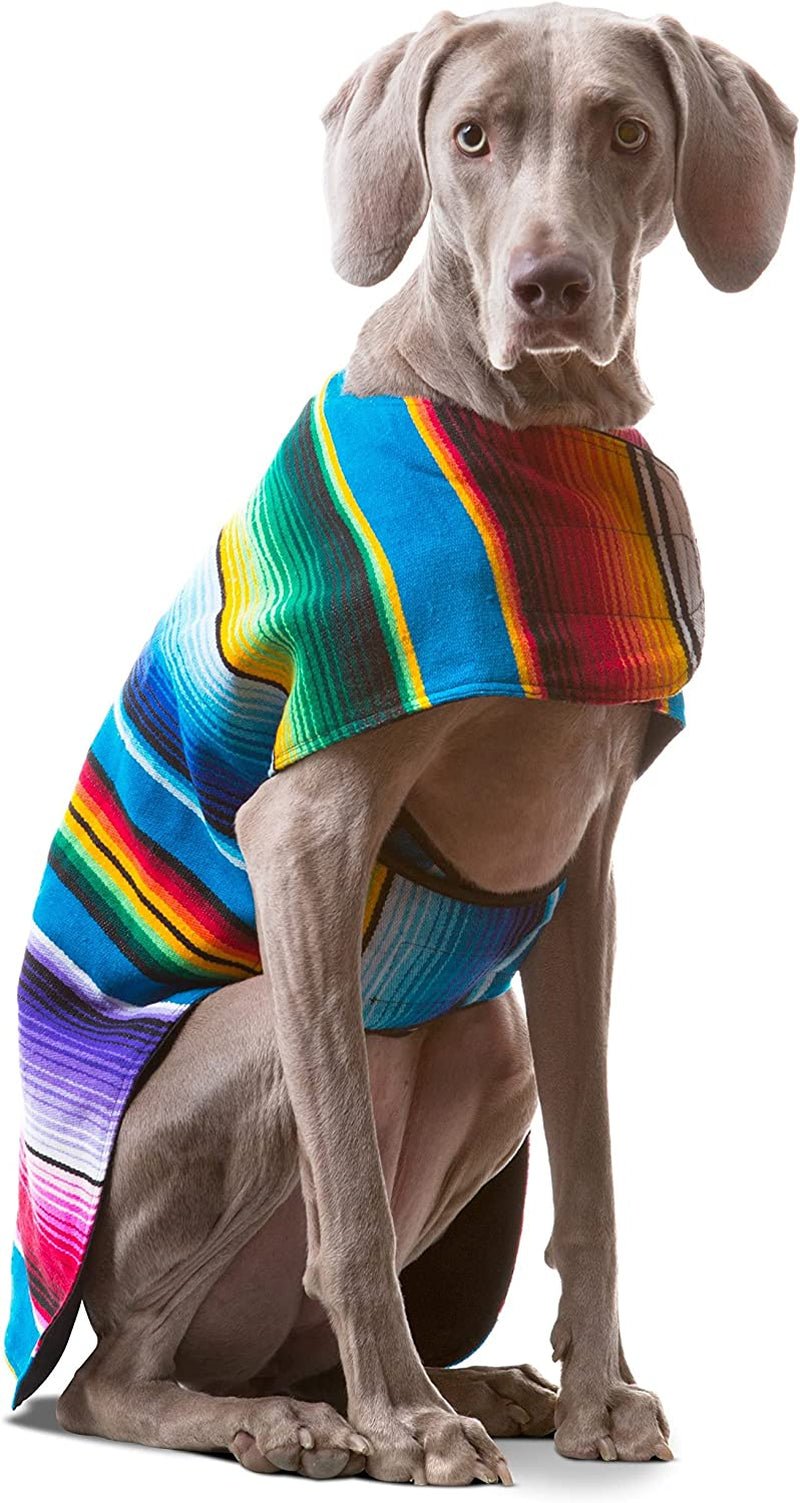 Dog Clothes - Handmade Dog Poncho from Authentic Mexican Blanket by (Blue, Large) - PETGS