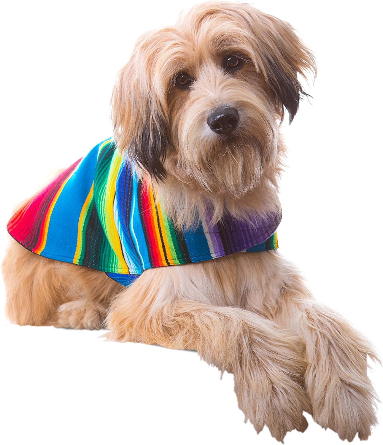 Dog Clothes - Handmade Dog Poncho from Authentic Mexican Blanket by (Blue, Large) - PETGS