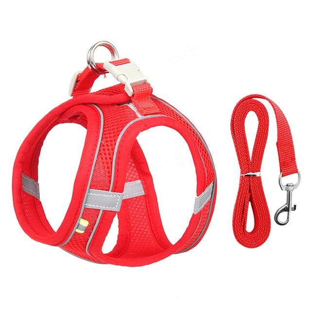 Dog Harness Leash Set for Small Dogs - PETGS