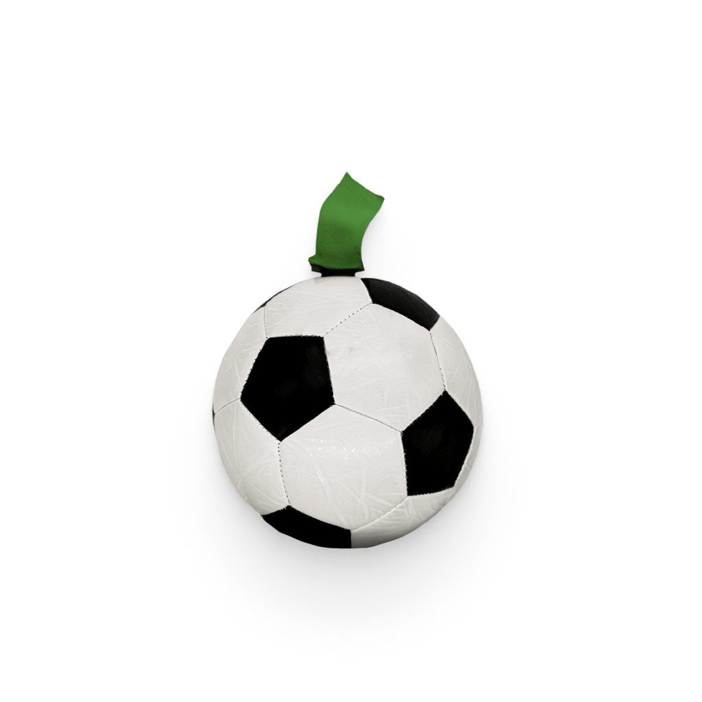 Dog Soccer Ball Toy - Premium  from PETGS - Just $18.99! Shop now at PETGS