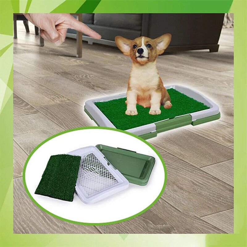 Dog Urinary Grass Mat Pad Patch Indoor - Premium Petcare from Raspberry Thistle - Just $17.60! Shop now at PETGS