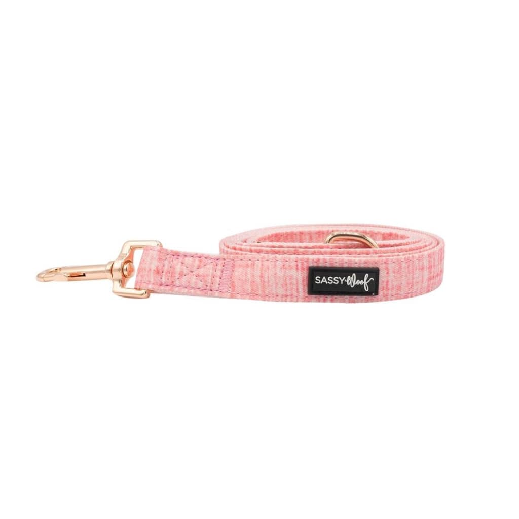 Dolce Rose' Dog Fabric Leash - Premium  from PETGS - Just $30.39! Shop now at PETGS