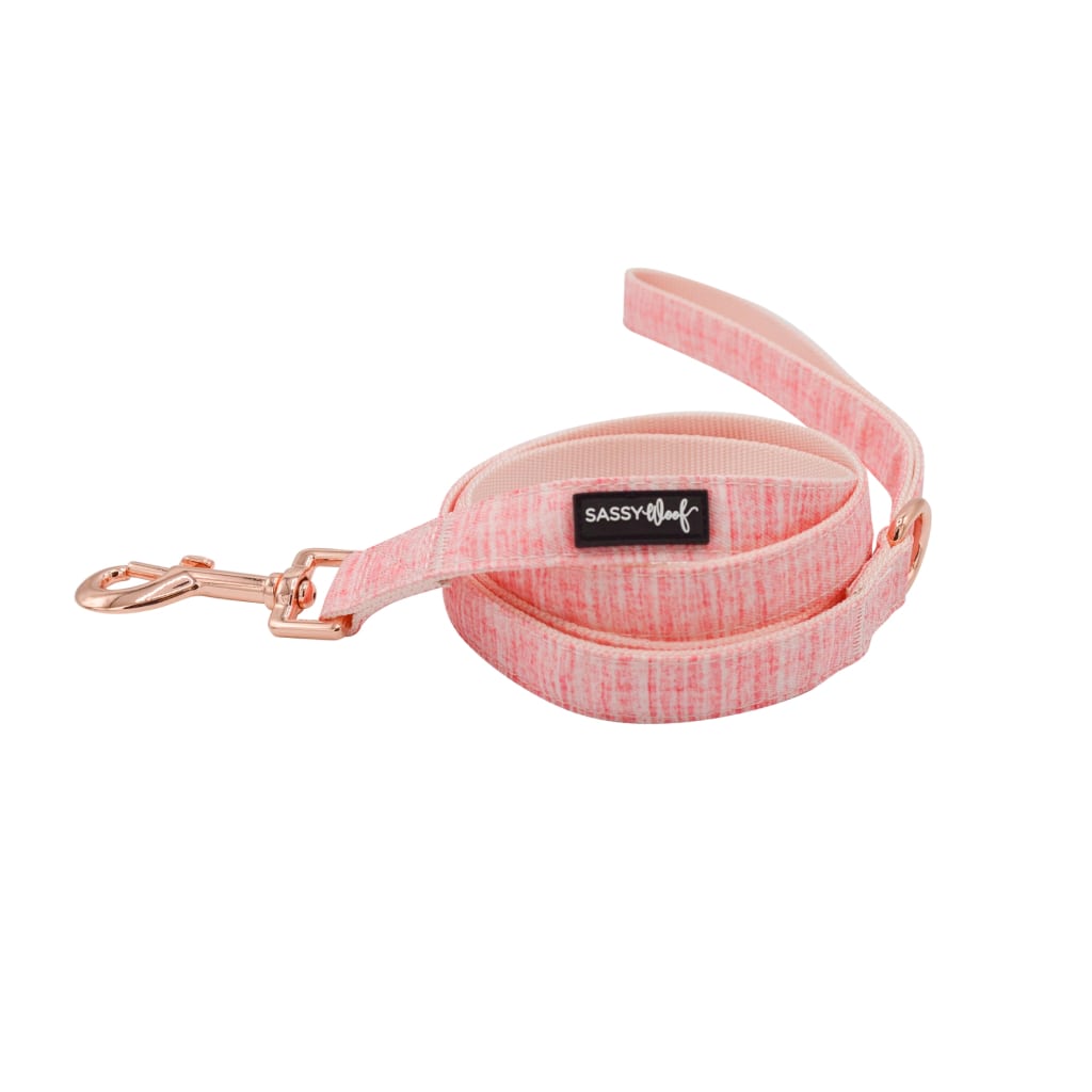 Dolce Rose' Dog Fabric Leash - Premium  from PETGS - Just $30.39! Shop now at PETGS