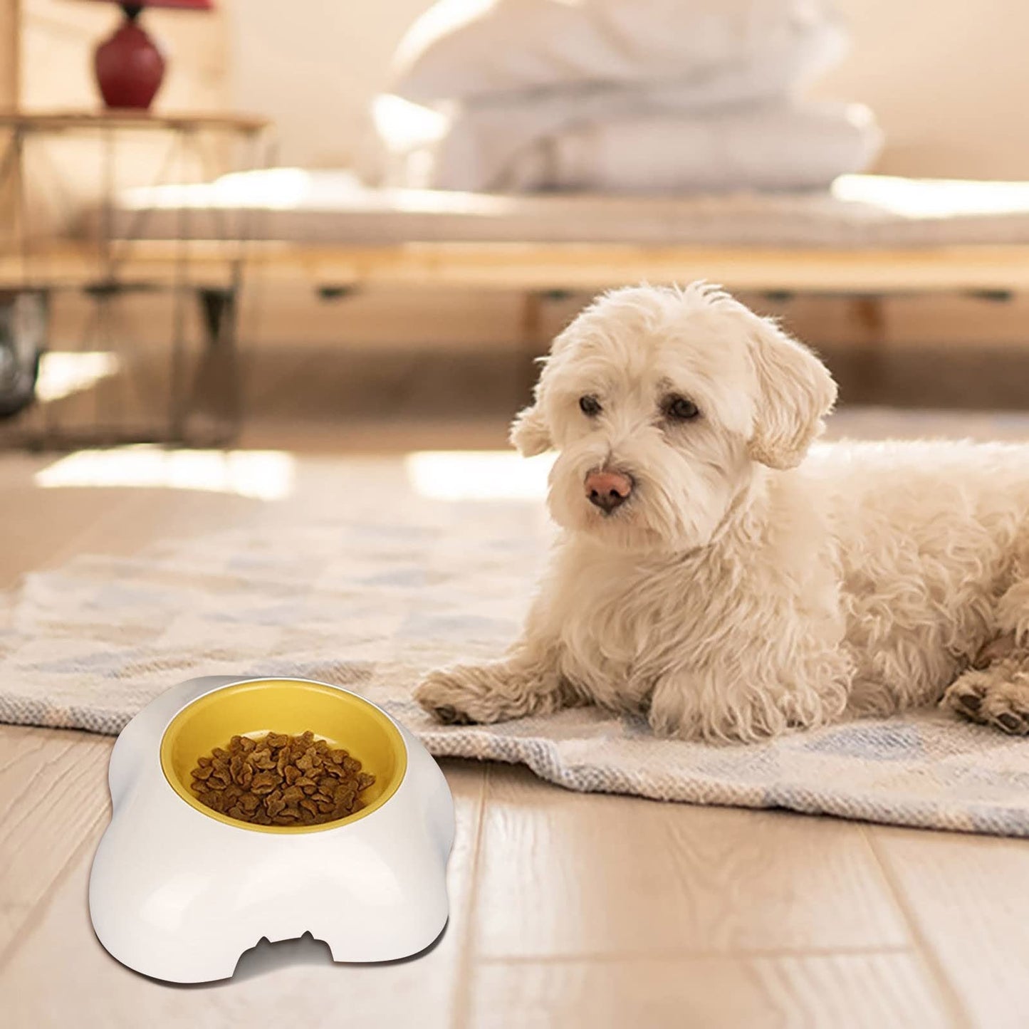 Egg-shaped Pet Bowl Drinking Water Single Bowl Double Bowl Dog Bowls - Premium Petcare from Maroon Simba - Just $8.50! Shop now at PETGS