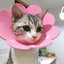 Elizabeth Circle Cat Sun Flower Collar - PETGS