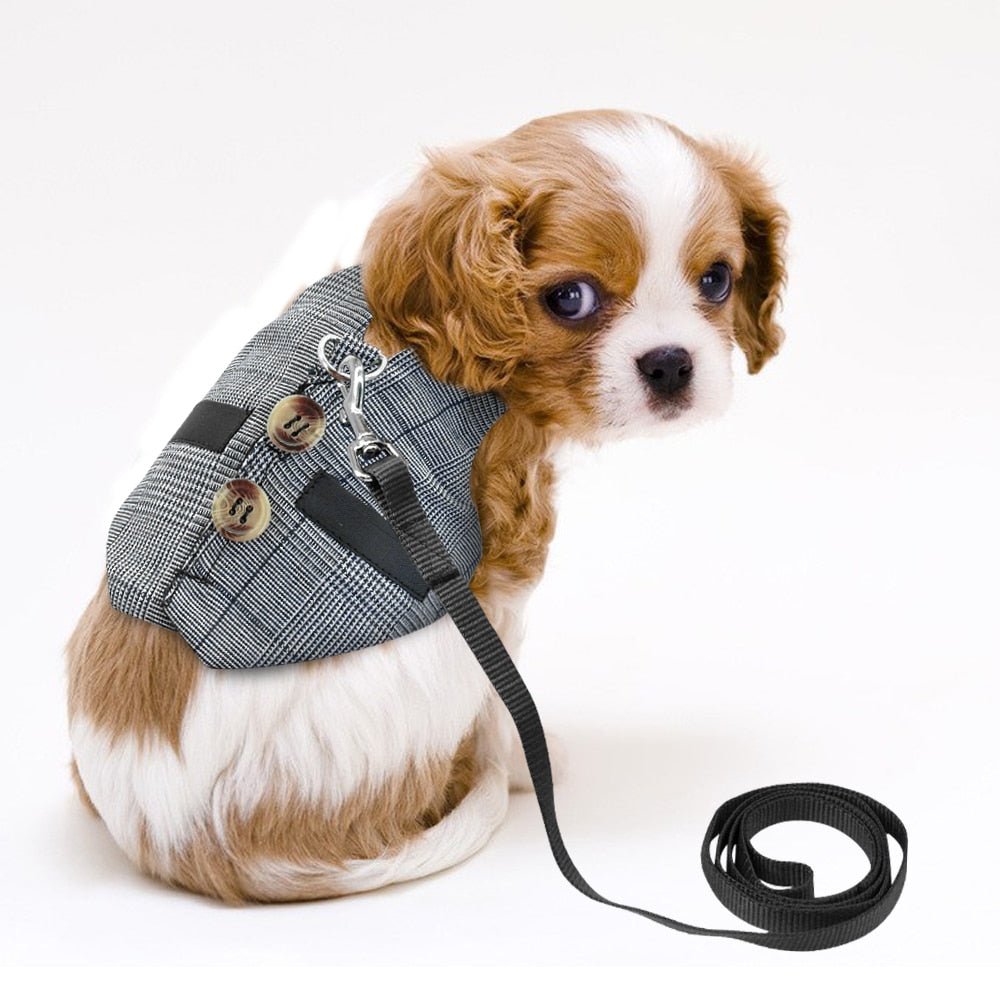 Hamster Rabbit Dog Harness Vest Small Animals - Premium Pets from Fuchsia Nesoi - Just $9.63! Shop now at PETGS