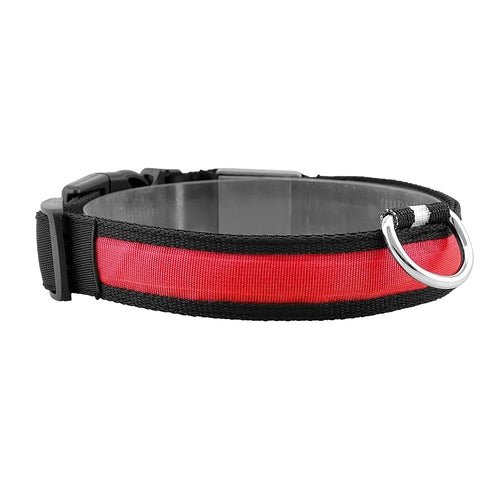 LED Dog Collar USB Rechargeable Adjustable Dog Safety Collar Night - Premium Leashes, Collars & Petwear from Maroon Simba - Just $14.83! Shop now at PETGS