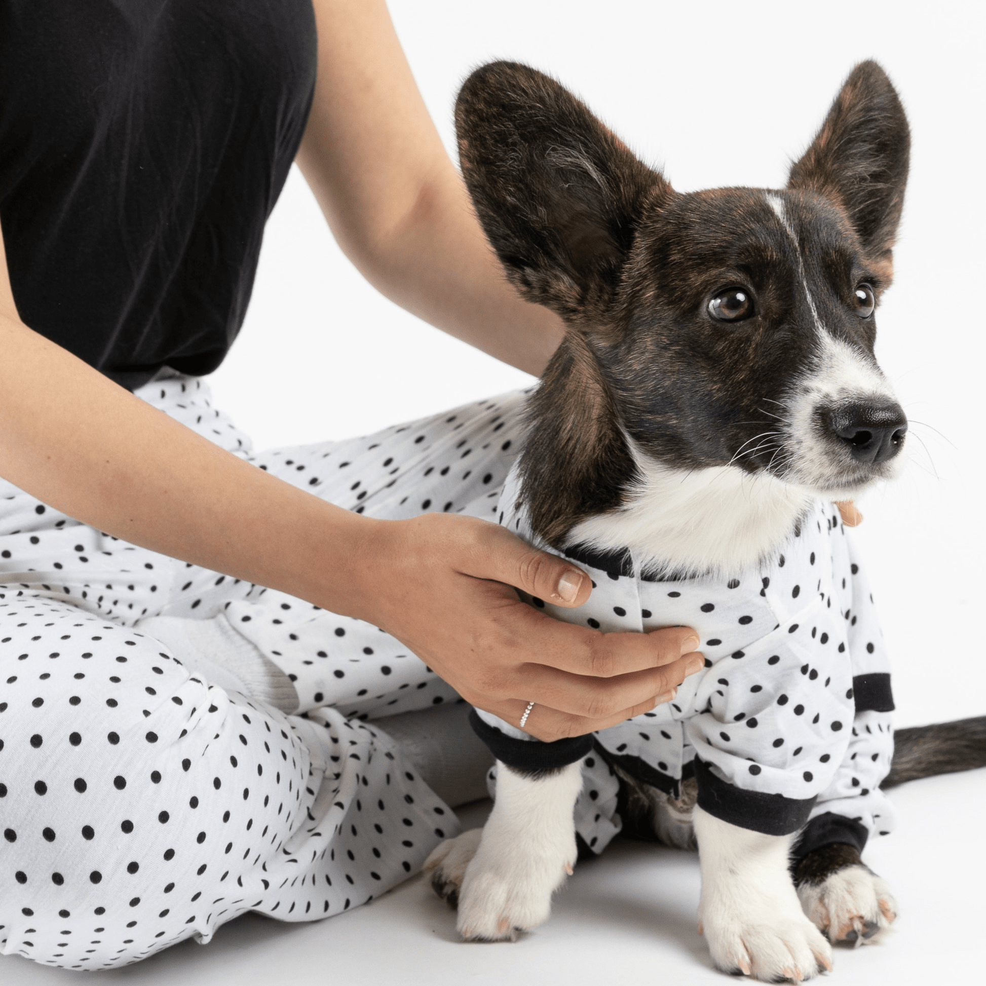 Matching Human & Dog Pajama  - Polka Dot - Premium Pets from Copper Nesoi - Just $28.57! Shop now at PETGS
