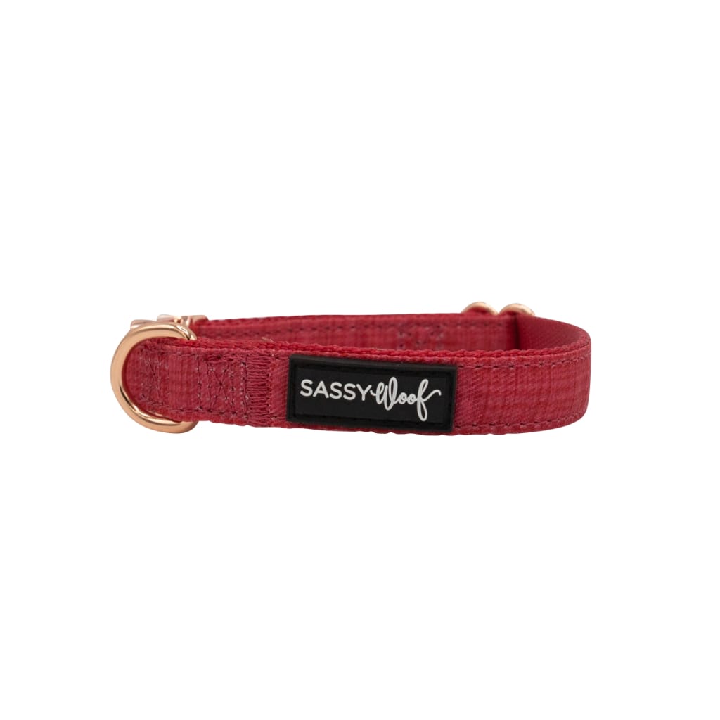 Merlot' Dog Collar - Premium  from PETGS - Just $25.59! Shop now at PETGS