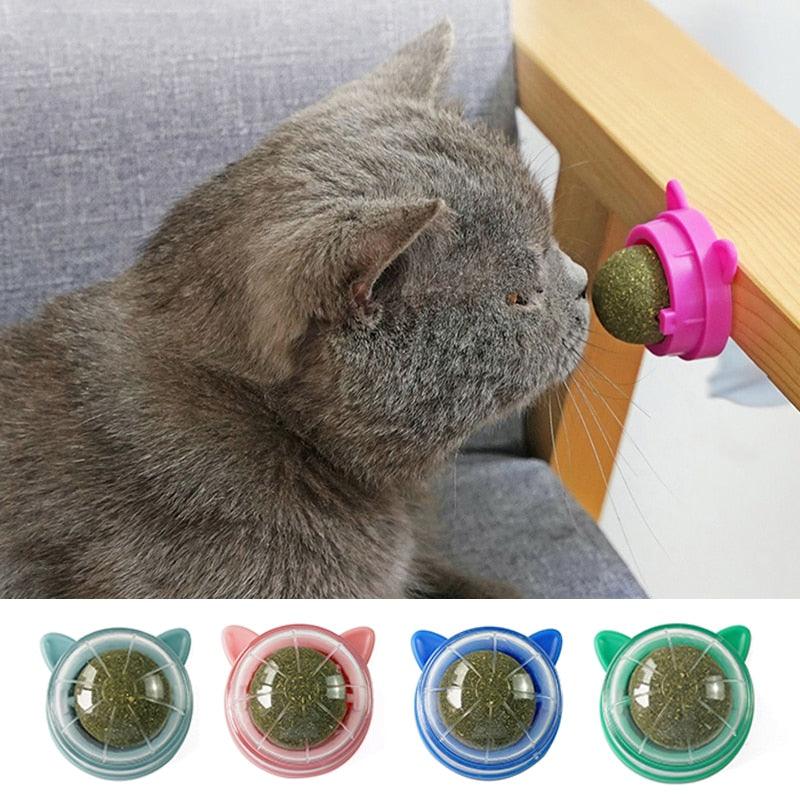 Natural Catnip Cat Wall Stick-on Ball Toy - PETGS