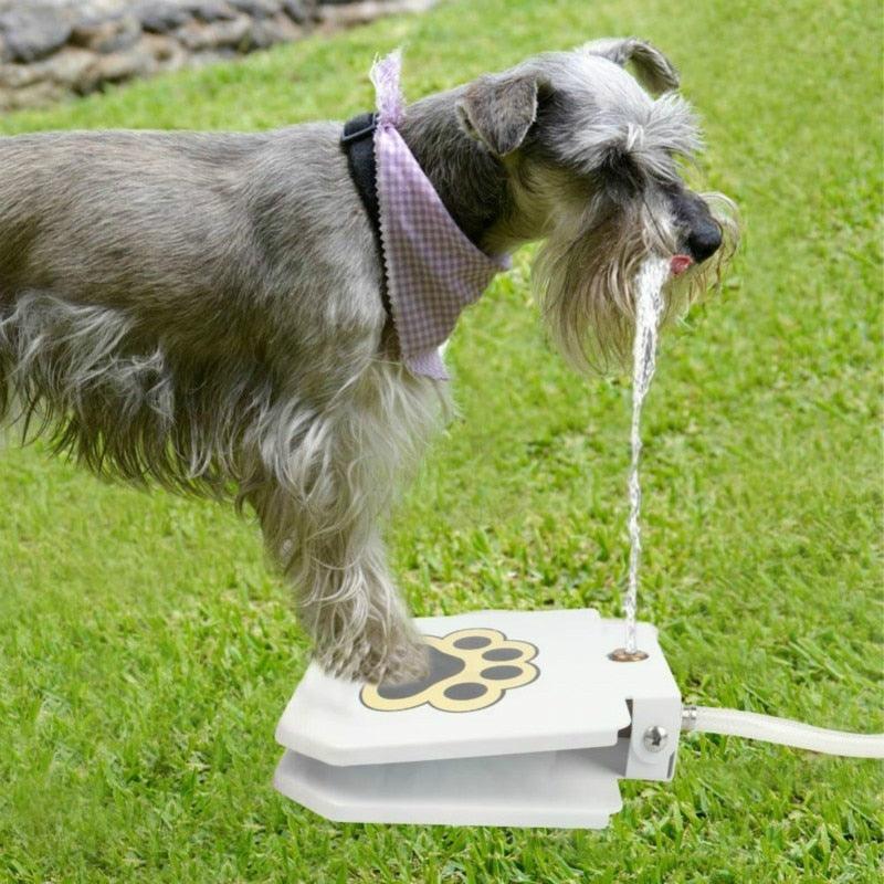 Outdoor Automatic Dog Water Fountain - PETGS