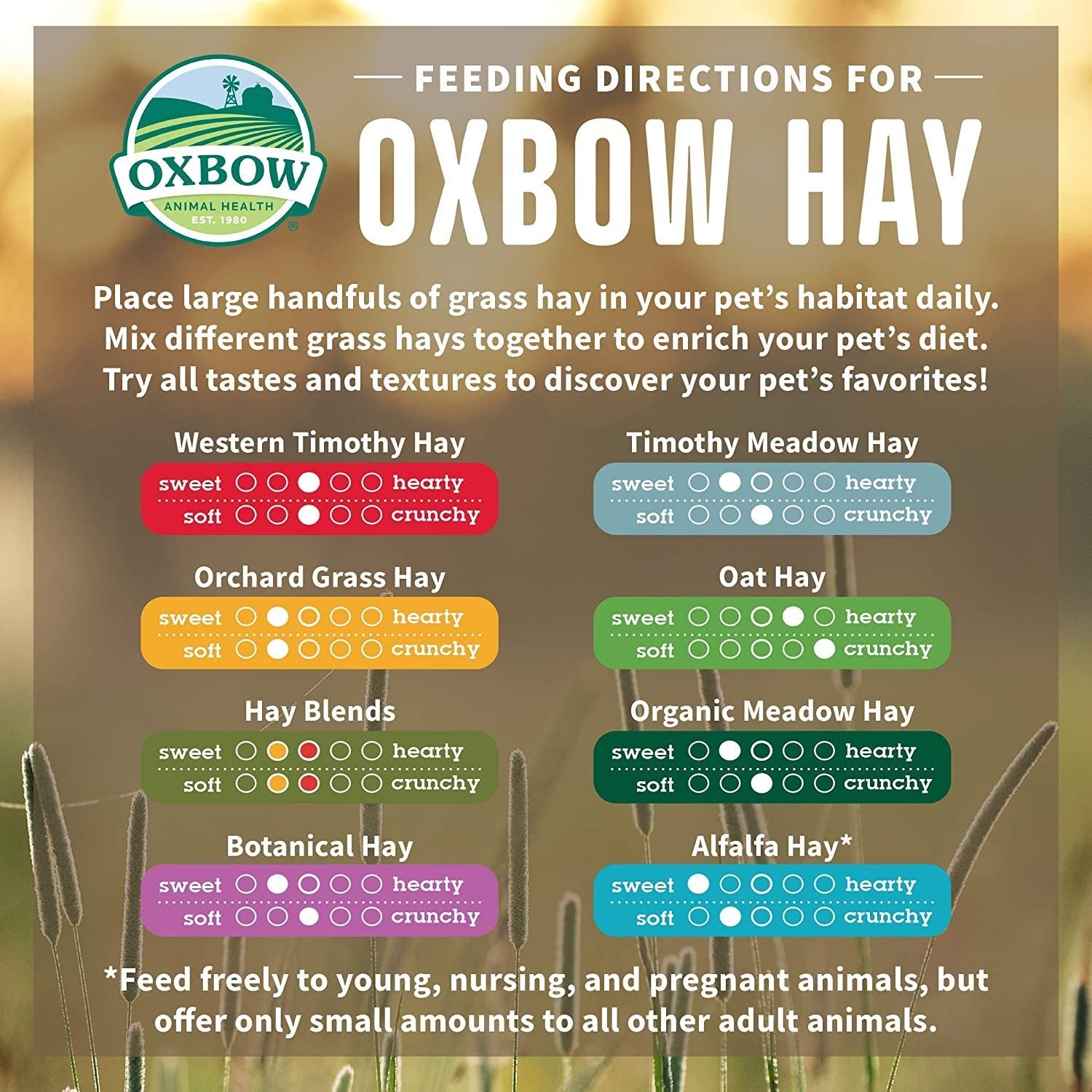 Oxbow Animal Health Western Timothy Hay - All Natural Hay for Rabbits, Guinea Pigs, Chinchillas, Hamsters & Gerbils - 90 Oz. - PETGS