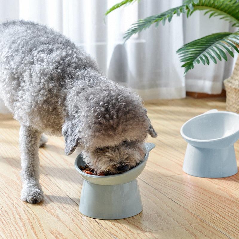 Pet Cat Dog Bowl - PETGS