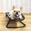 Pet Dog Chair Dog Rocking Chair - PETGS