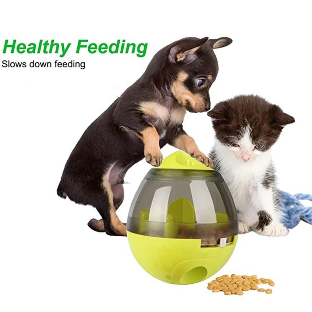 Pet Food Dispenser Tumbler - Premium Pets from Yellow Pandora - Just $17.58! Shop now at PETGS