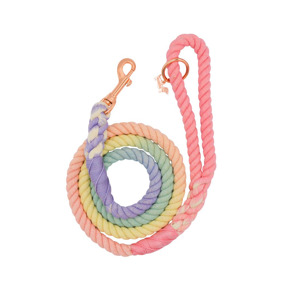 Rainbow Dog Leash - Premium  from PETGS - Just $48.99! Shop now at PETGS