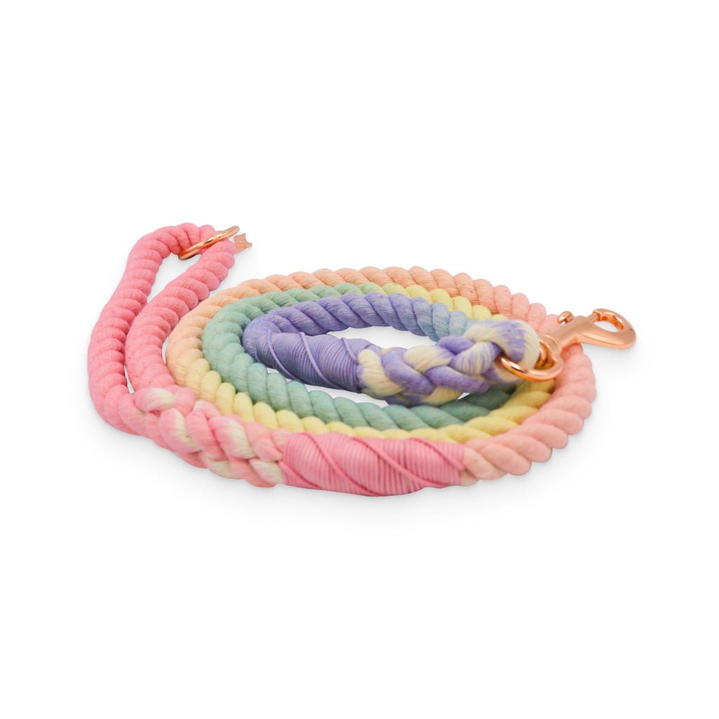 Rainbow Dog Leash - Premium  from PETGS - Just $39.19! Shop now at PETGS