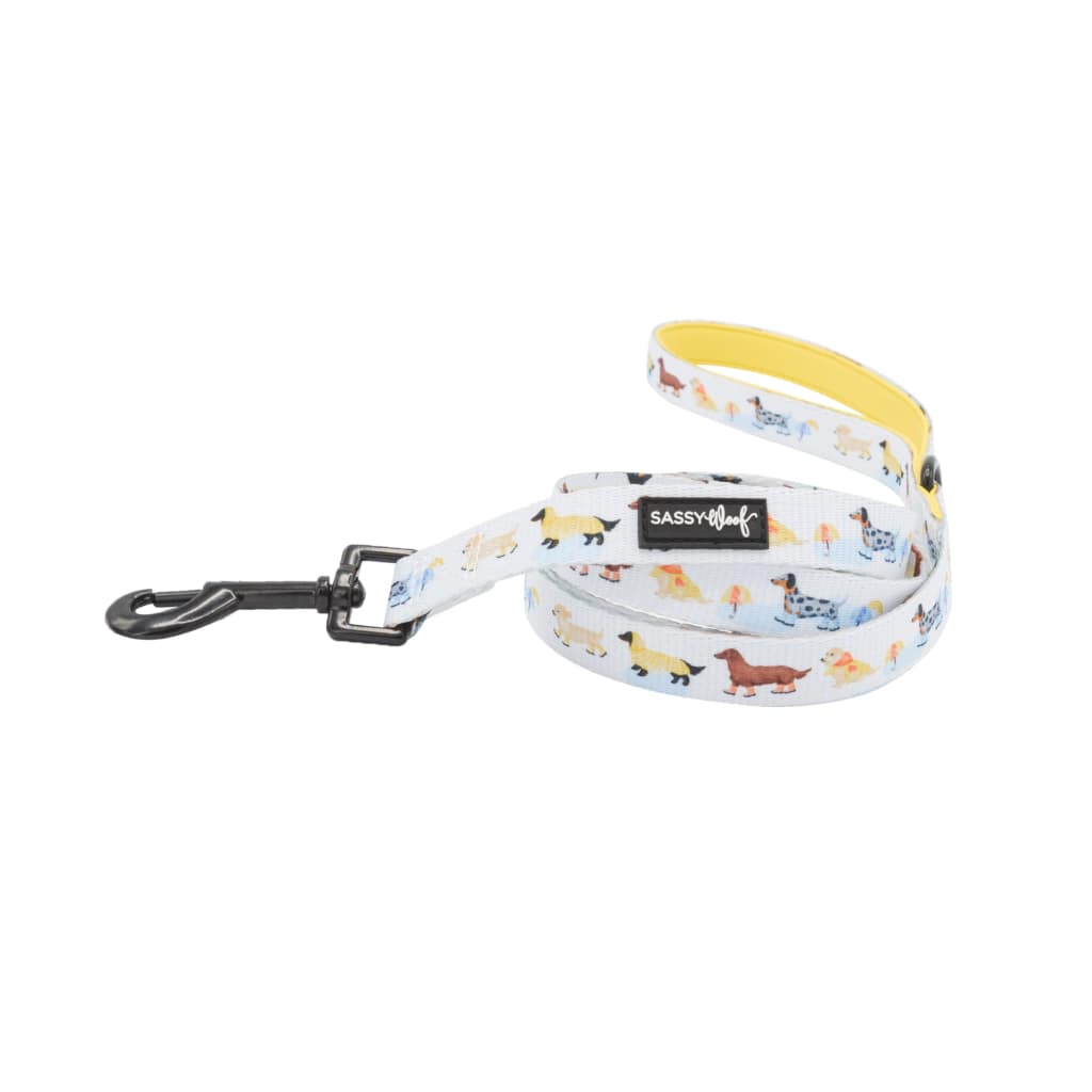 Rainy Dachshund' Dog Fabric Leash - Premium  from PETGS - Just $27.99! Shop now at PETGS