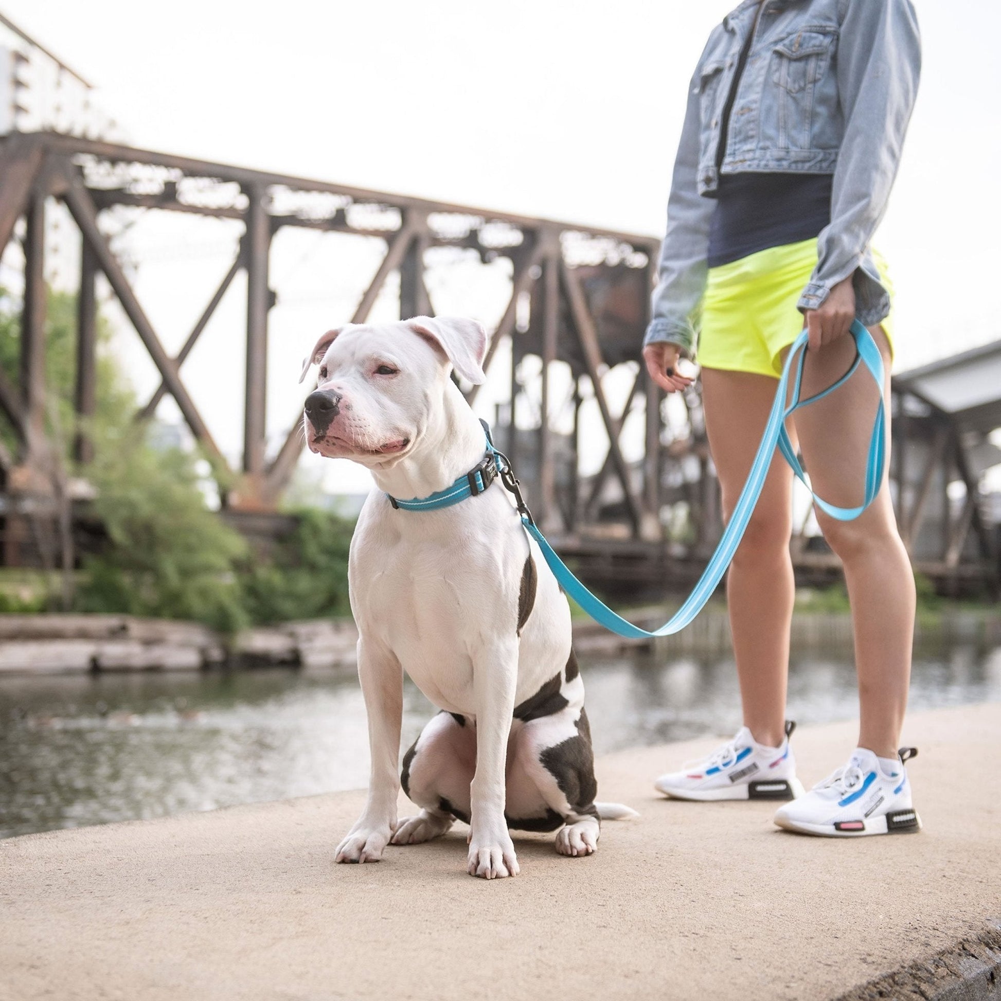 Reflective Leash - Neon Blue - Premium Leashes, Collars & Petwear from Beige Antigone - Just $14.58! Shop now at PETGS