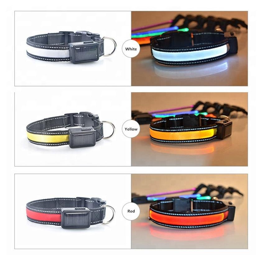 USB and Solar Charge Reflective Led Dog Collar - Premium Pets from Tan Cress - Just $16.76! Shop now at PETGS