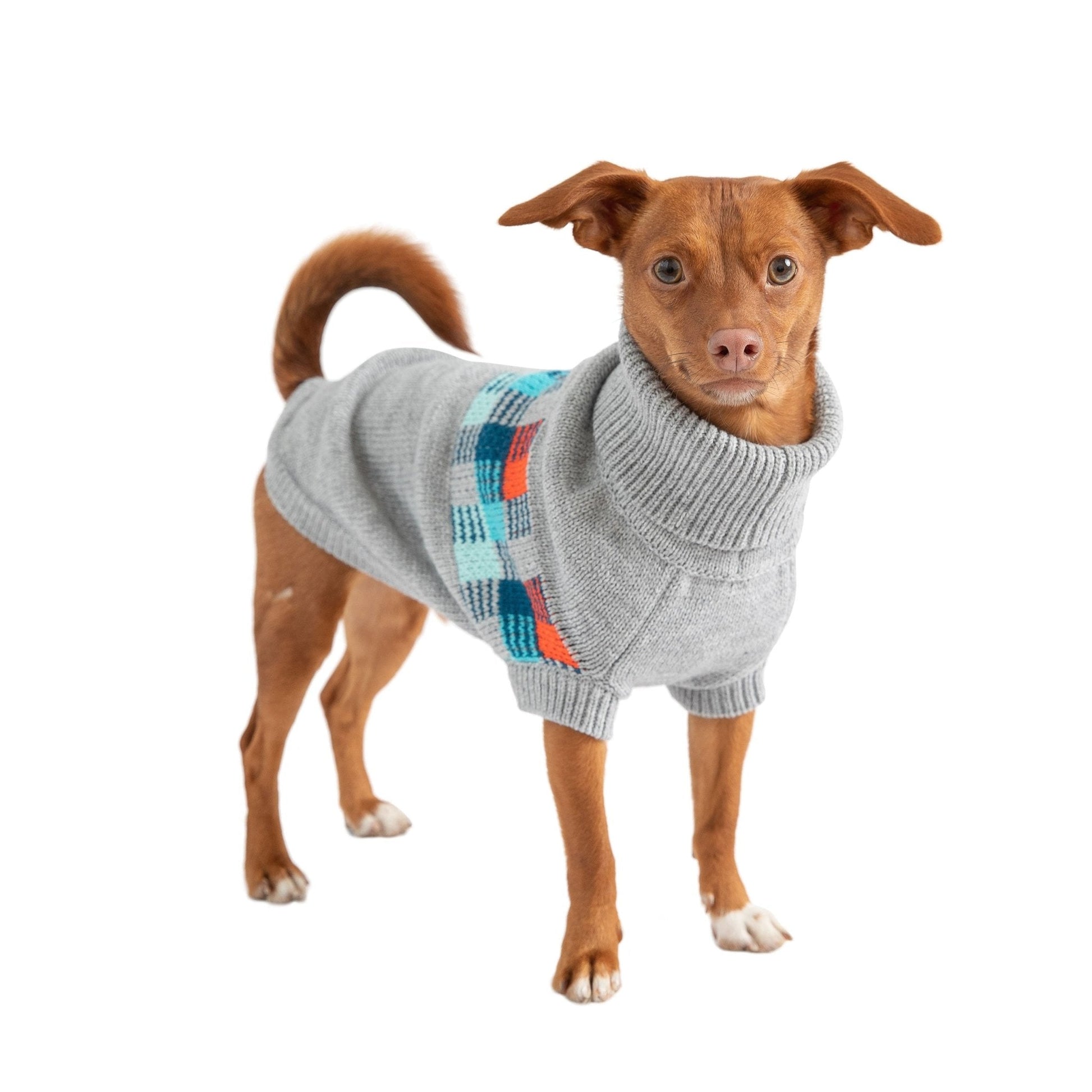 Winter Sailor Sweater - Grey Mix - Premium Leashes, Collars & Petwear from Beige Antigone - Just $21.98! Shop now at PETGS