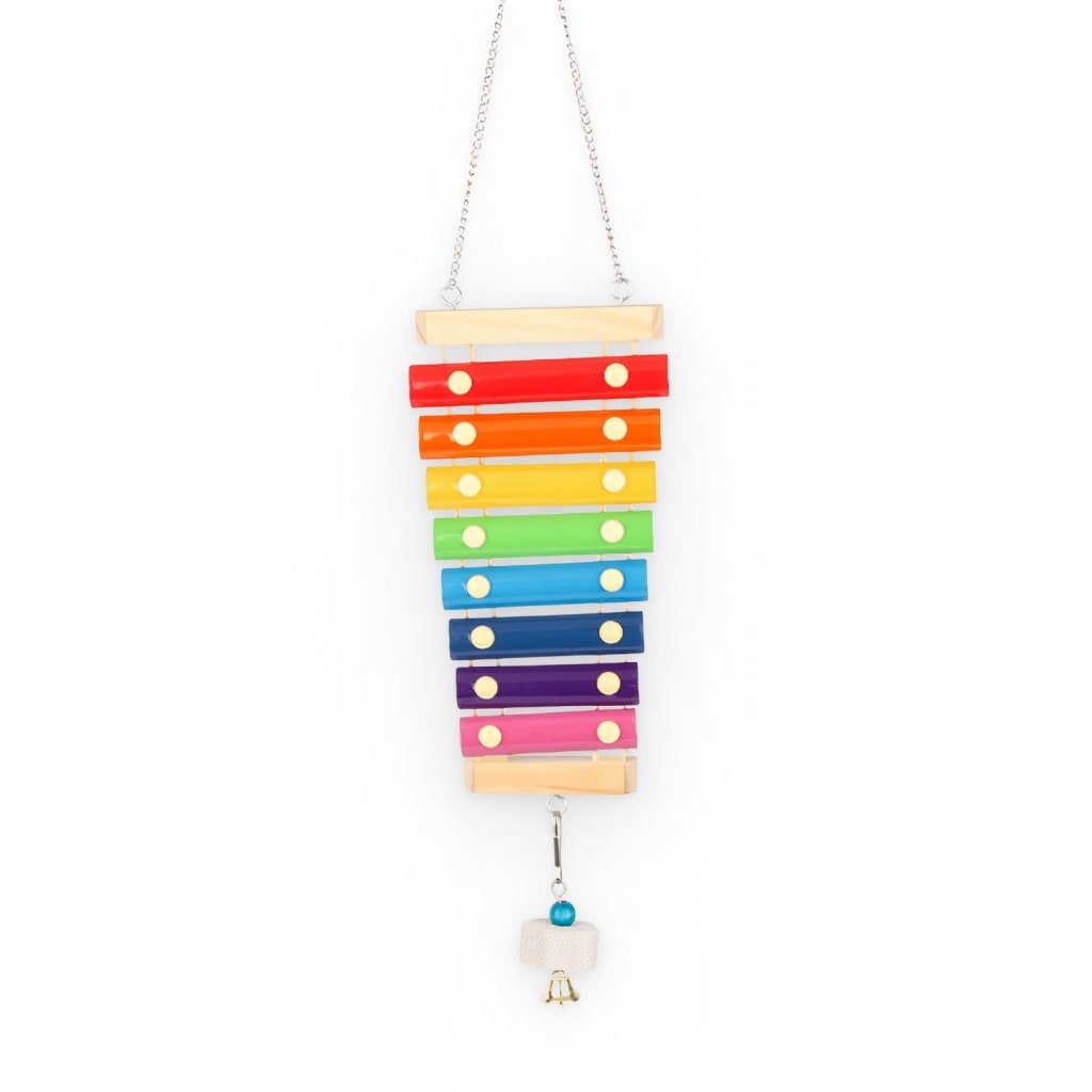 Xylophone Toy For Birds - Premium  from PETGS - Just $15.19! Shop now at PETGS